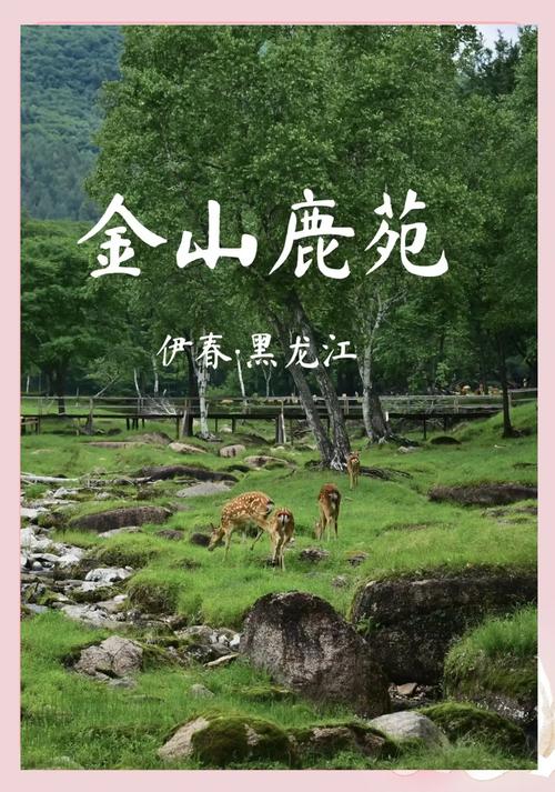 伊春金山鹿苑:亲子游的夏日避暑胜地
